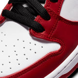 nike sb shoes dunk low pro j-pack chicago