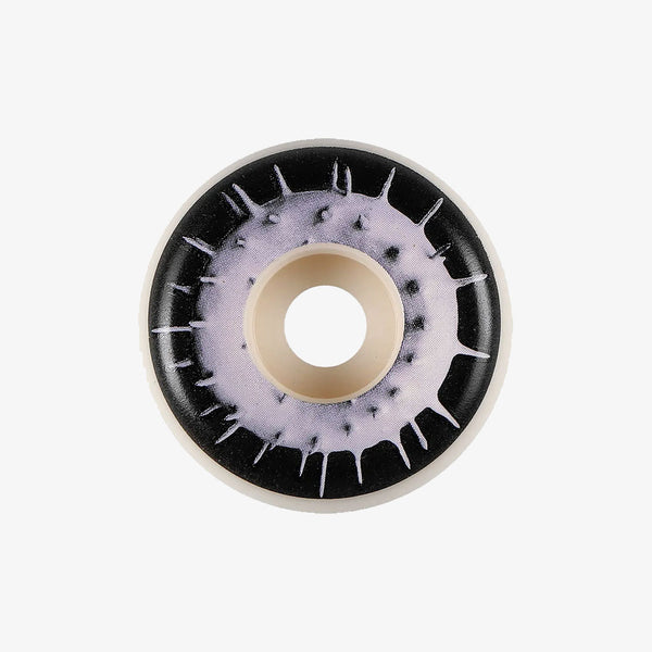 spitfire wheels formula four conical full spiked palmer 99a 53mm
